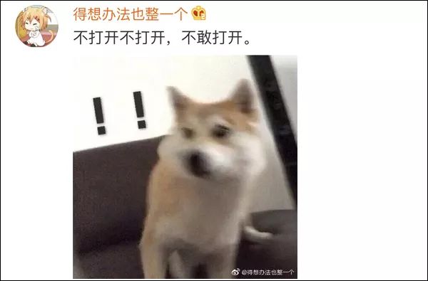 tsv天时娱乐是真的吗_国庆,去荣县平坦桥村摘火龙果