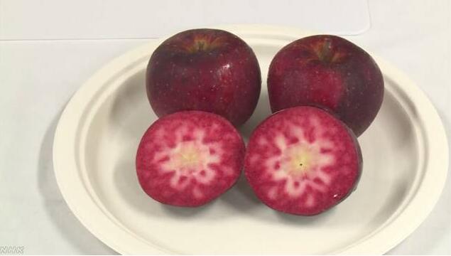 “世界最红苹果”诞生 从皮到果心都红透了(图)