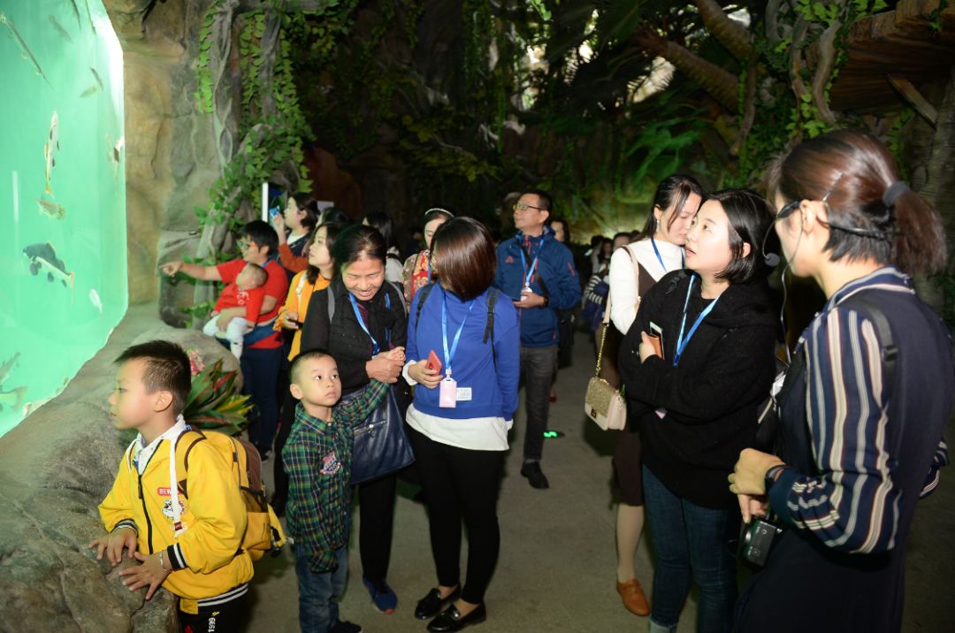 旅游界大咖、876主播!齐聚福州欧乐堡海洋世界