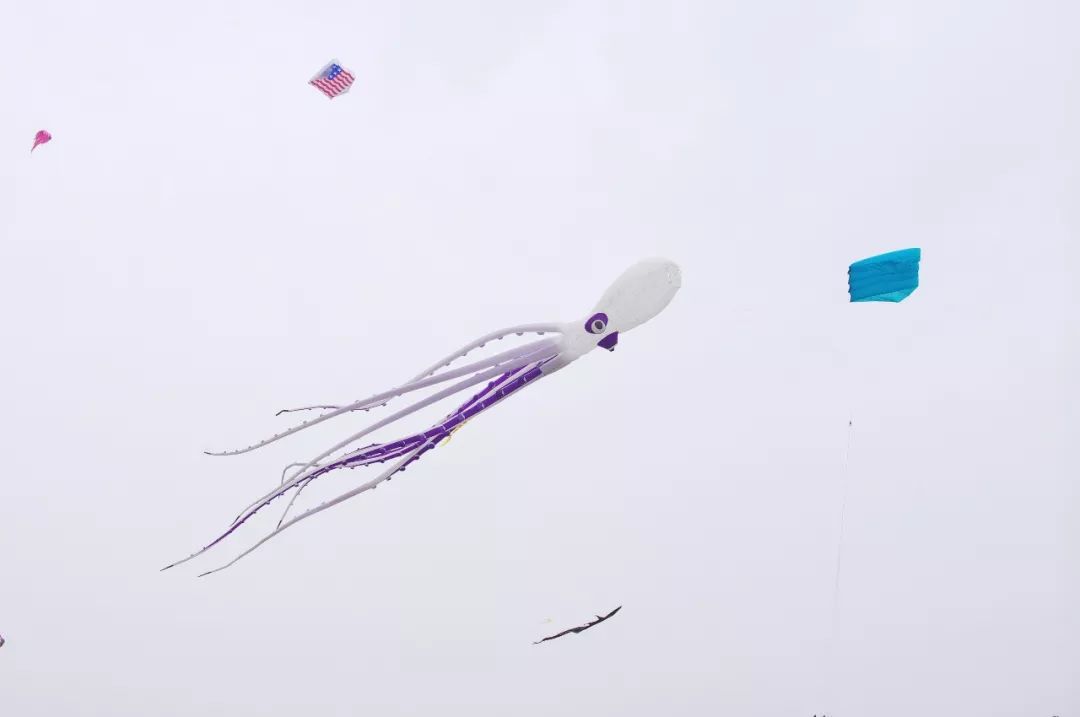 兩萬(wàn)多人都在抬頭看啥？花鳥(niǎo)魚(yú)蟲(chóng)都“飛”上了武漢的天(圖1)