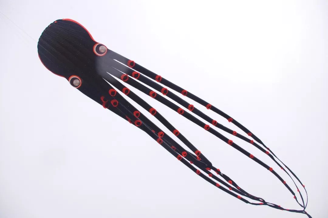 兩萬(wàn)多人都在抬頭看啥？花鳥(niǎo)魚(yú)蟲(chóng)都“飛”上了武漢的天(圖5)