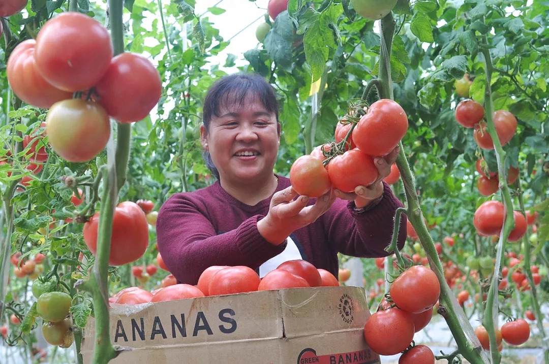 这两个《办法》的出台,为江苏高质量发展勾勒