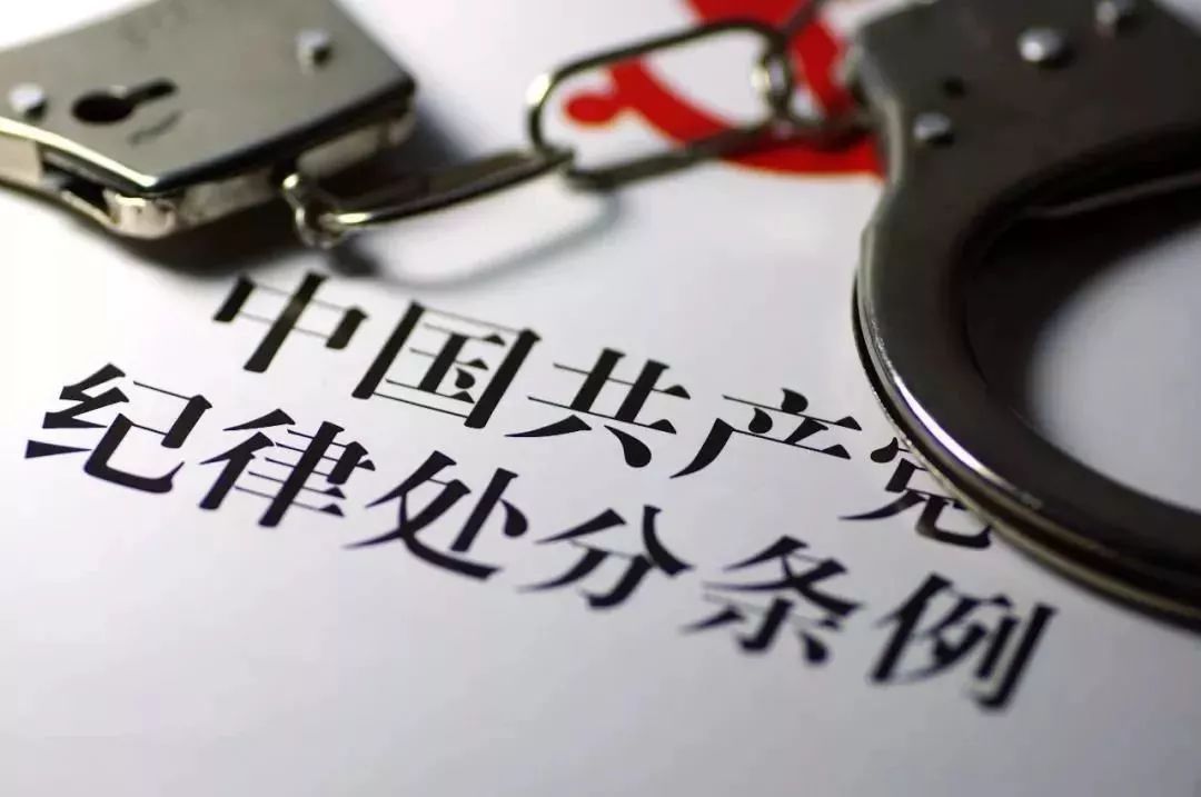 ku游娱乐官方app 全国人大常委会全体会议审计查出问题整改情况报告