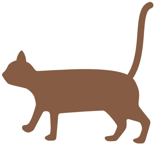 热点 | 积极性超高!贵州生态文明注册志愿者达8