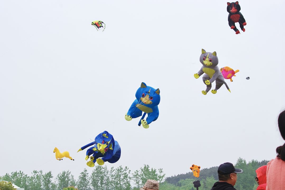 兩萬(wàn)多人都在抬頭看啥？花鳥(niǎo)魚(yú)蟲(chóng)都“飛”上了武漢的天(圖7)