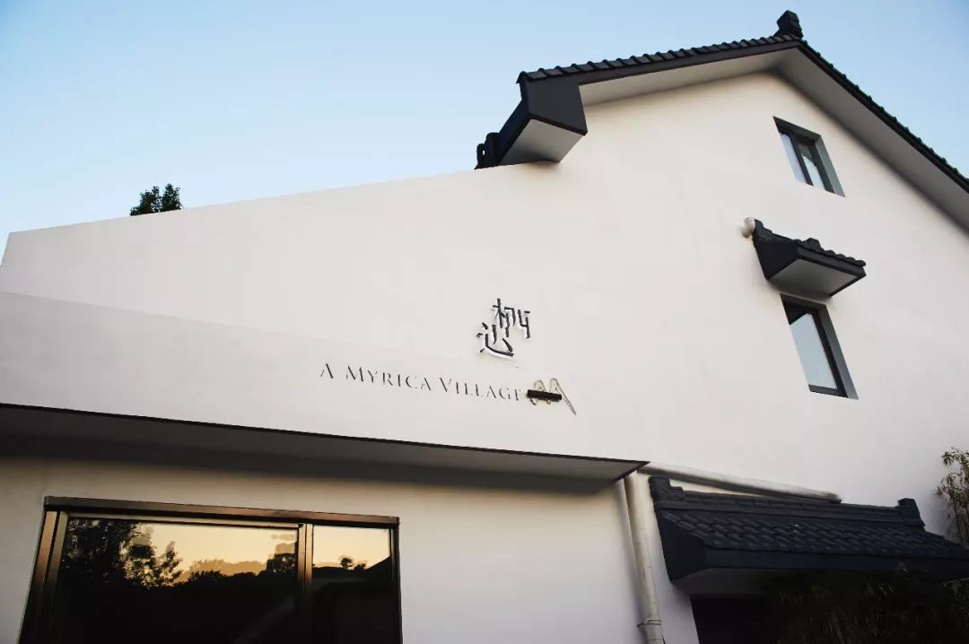 网红民宿扎堆集群?他们的秘密是……