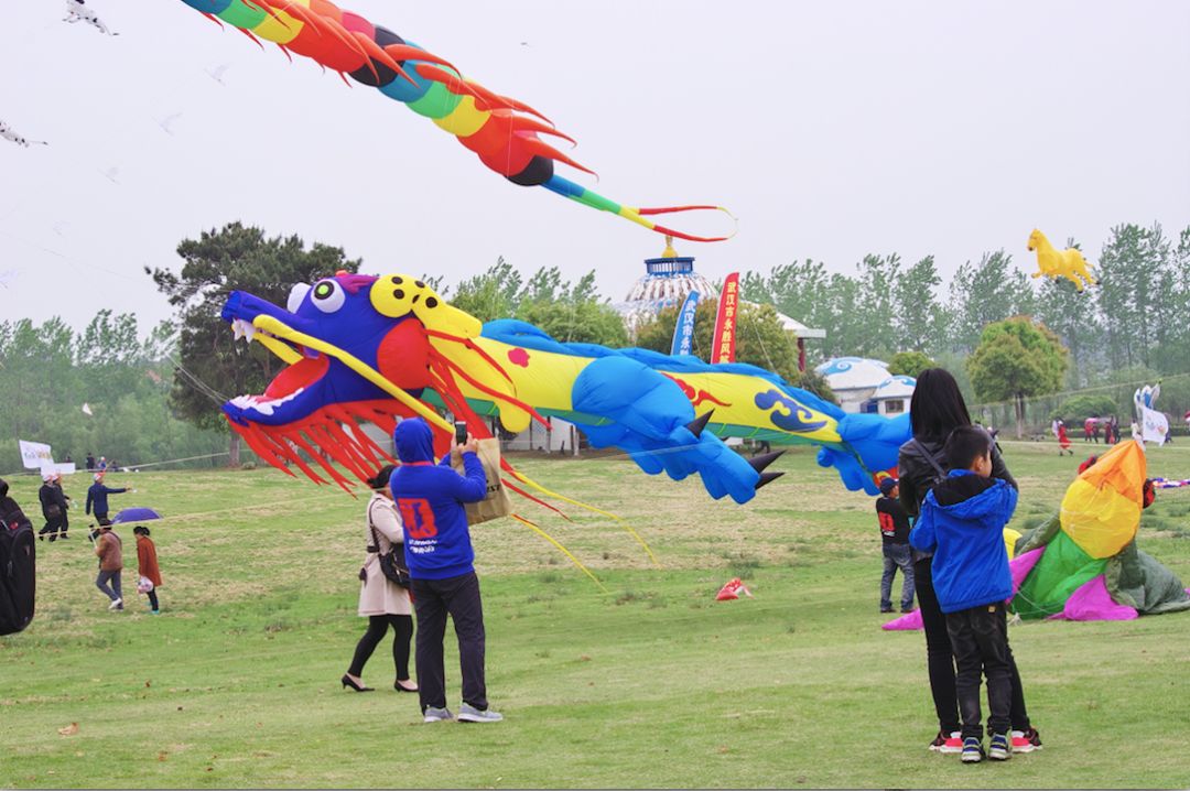 兩萬(wàn)多人都在抬頭看啥？花鳥(niǎo)魚(yú)蟲(chóng)都“飛”上了武漢的天(圖9)