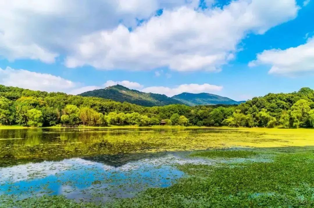 来南京玩一定要去的12个地方,全去过的举手!