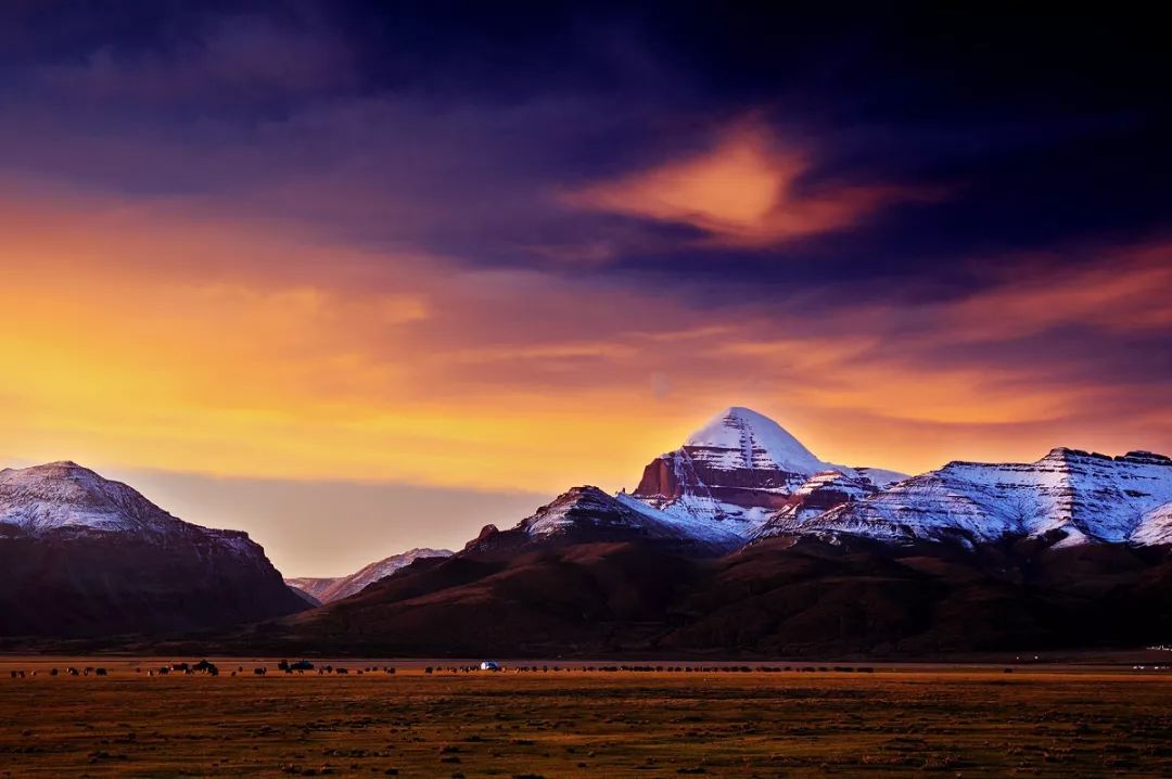 阿里图片 新浪网