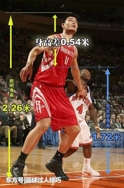 姚明在nba身高世界第几,姚明在nba身高世界第几名