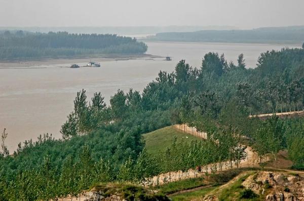 放慢脚步,来东阿黄河森林公园的找寻久违的诗