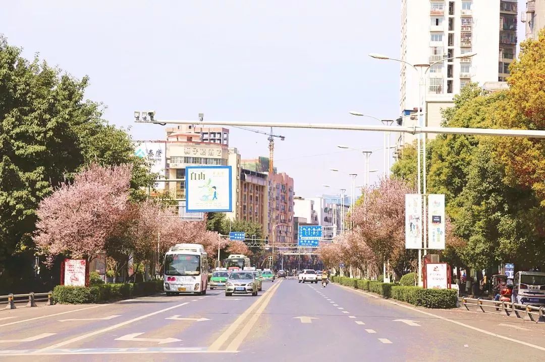 遂宁市常住人口_不锈钢朋友注意啦 广东省揭阳市 四川省遂宁市也在收缩城市(3)
