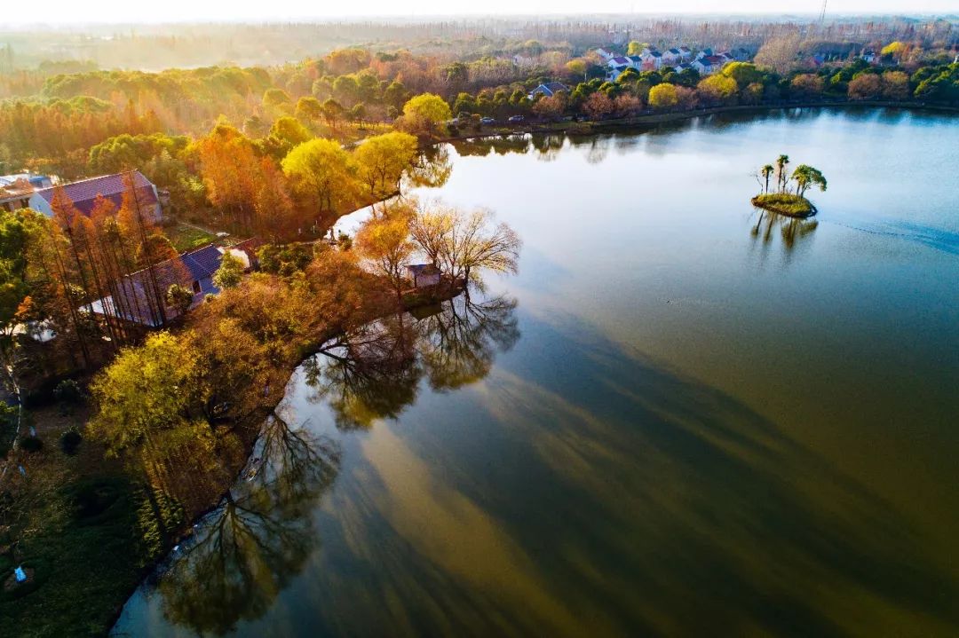 上海森林有多美?四季“标准照”告诉你