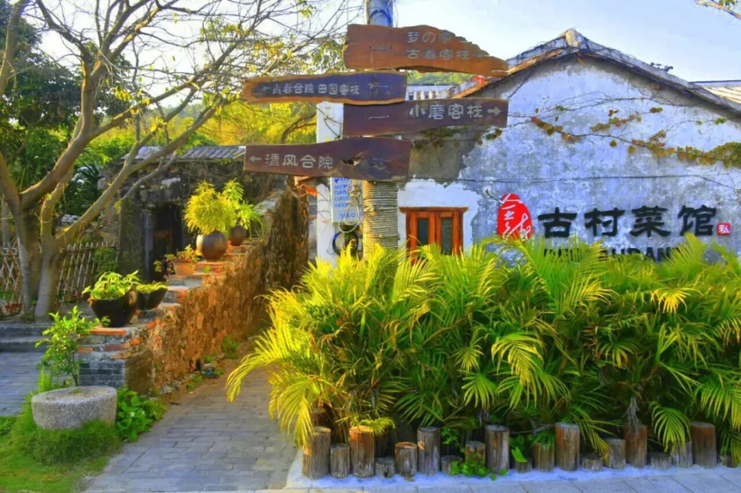 DB官网在线登录入口走进中邦乡下）浙山河村民宿“慢煮”年华焕新机