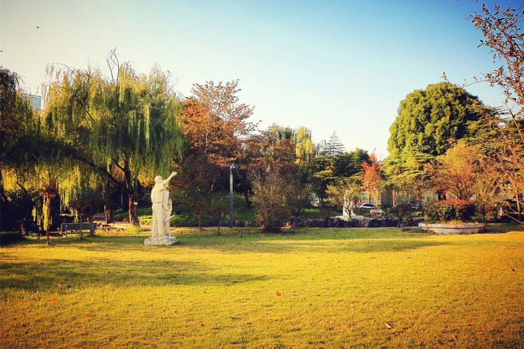 河海大学，美不哭你算我输！