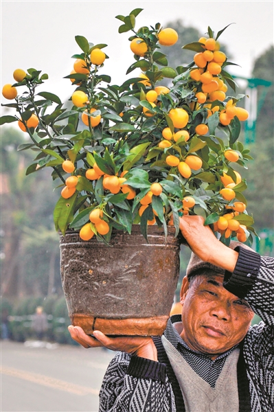 高明合水人口_高明盈香生态园