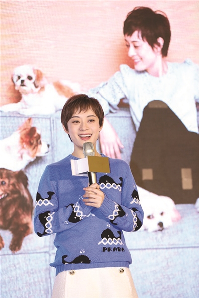 孙俪家四只“毛孩子”也闹“宫斗”