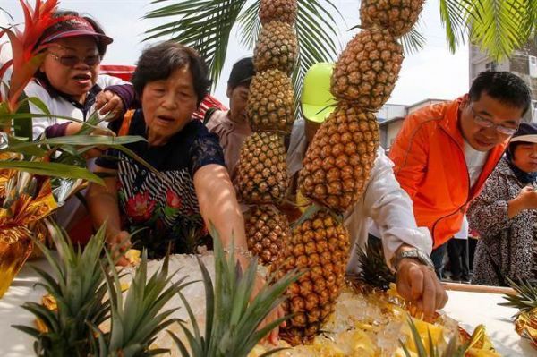 台湾凤梨的批发价大幅下跌(图片来源:《中国时报》资料照)