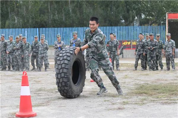 什么嘶风成语_什么风拂面四字成语(2)