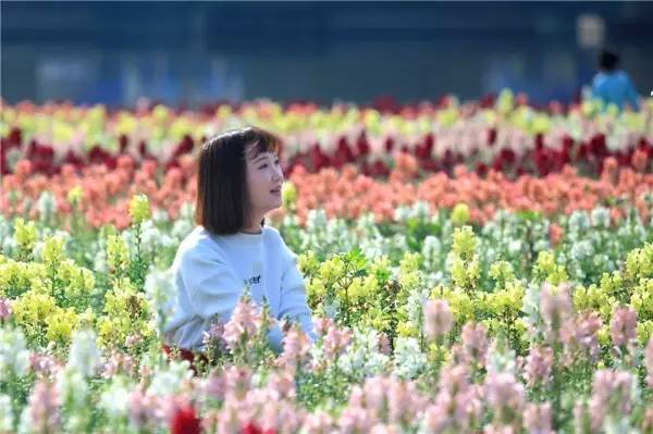 里水流潮：距广州5公里，村名因水得名，花海远近驰名！
