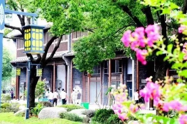 想寻宝、鉴宝的义乌人看过来！2019义乌收藏品春季交易会即将来袭
