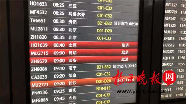 受大雾天气影响,南京禄口国际机场多个航班延误