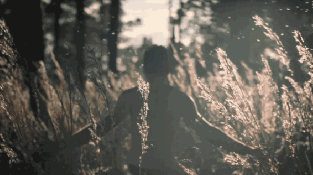 姚晨罕见崩溃痛哭：原生家庭的伤口，究竟有多难愈合？