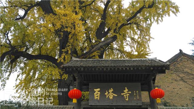 藏在秦岭的西安最小寺庙，只有一进院落，一棵树就占了半个院子