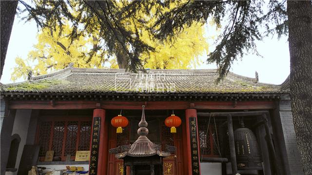 藏在秦岭的西安最小寺庙，只有一进院落，一棵树就占了半个院子