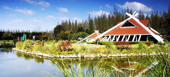 上海崇明将办花卉界“奥林匹克”,选址东平国家森林公园等地