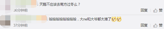 林肯娱乐登入地址 - 坐月子期间,婆婆哪些行为会让你记恨?看完更上火了