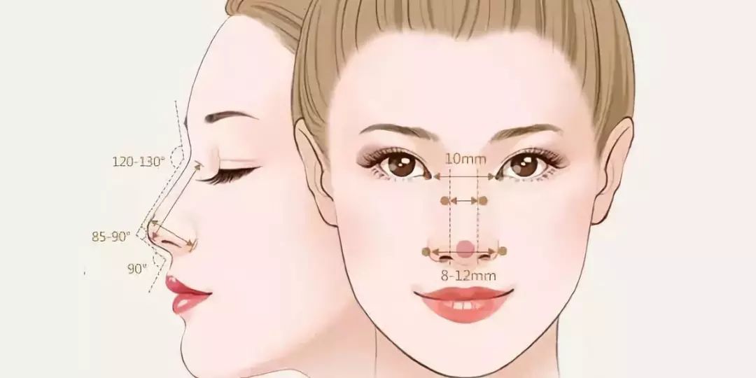 什么样的鼻子才叫好看