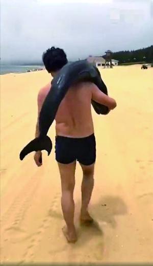 网络流传的多段视频显示，一名身穿泳衣的男子疑似背上扛着一只海豚在沙滩行走。 新华网 图