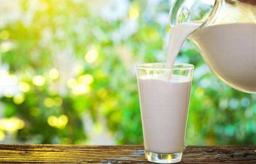调查显示：我国人均牛奶摄入量不足