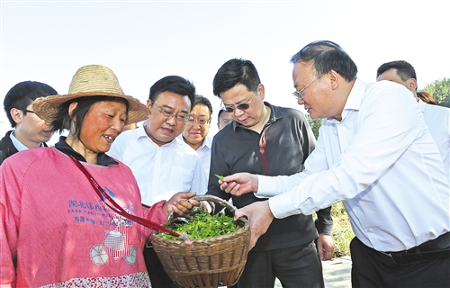 湖北贫困人口_湖北贫困地区图片(2)