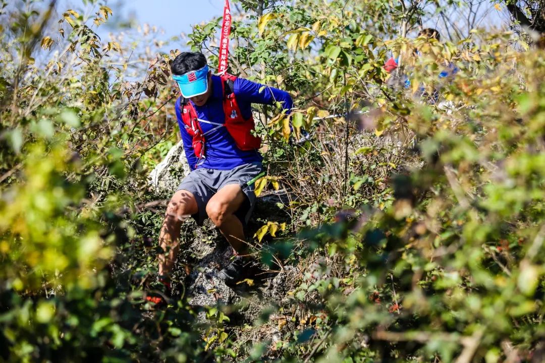 赛道微调 | 2018秦岭国际越野跑挑战赛重要申明