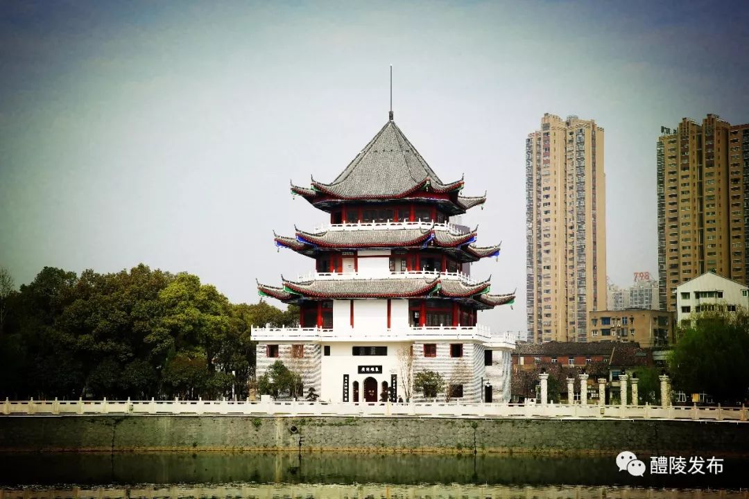 最新研究揭示：醴陵老汽车站后面究竟藏着多少小吃美味2025实测必吃推荐与省钱避坑宝典