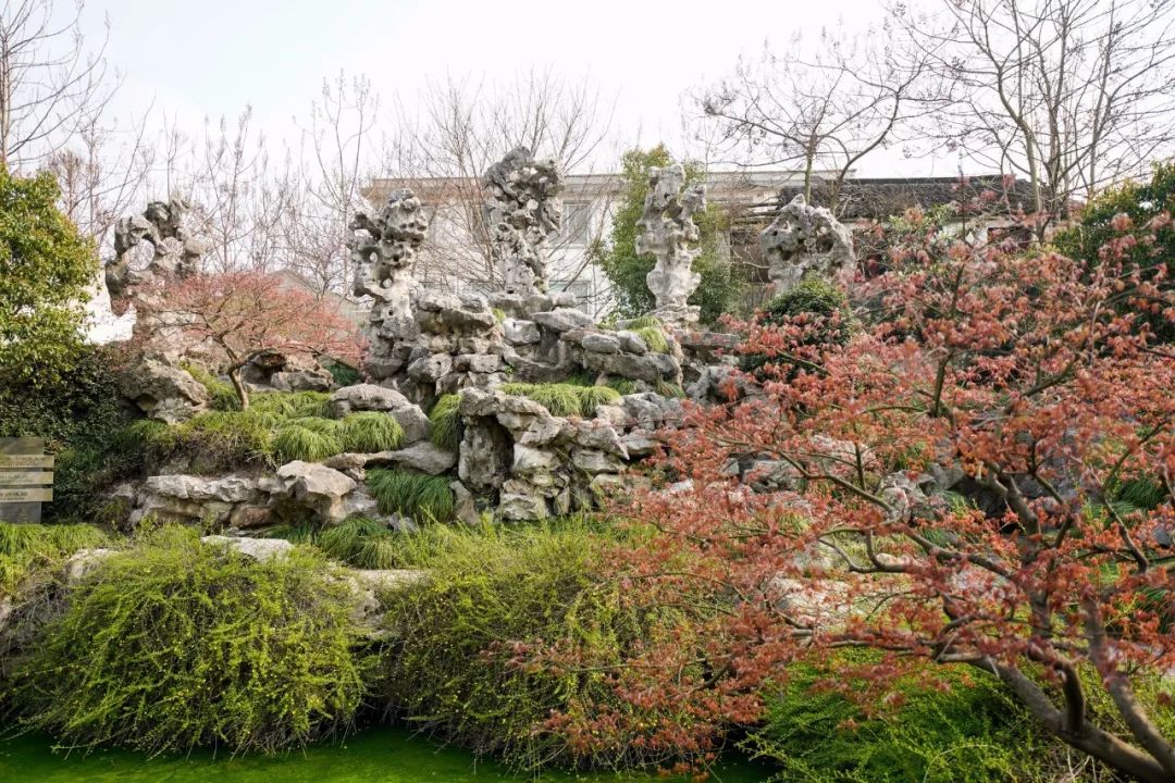 苏州的春天就藏在这些小巷里