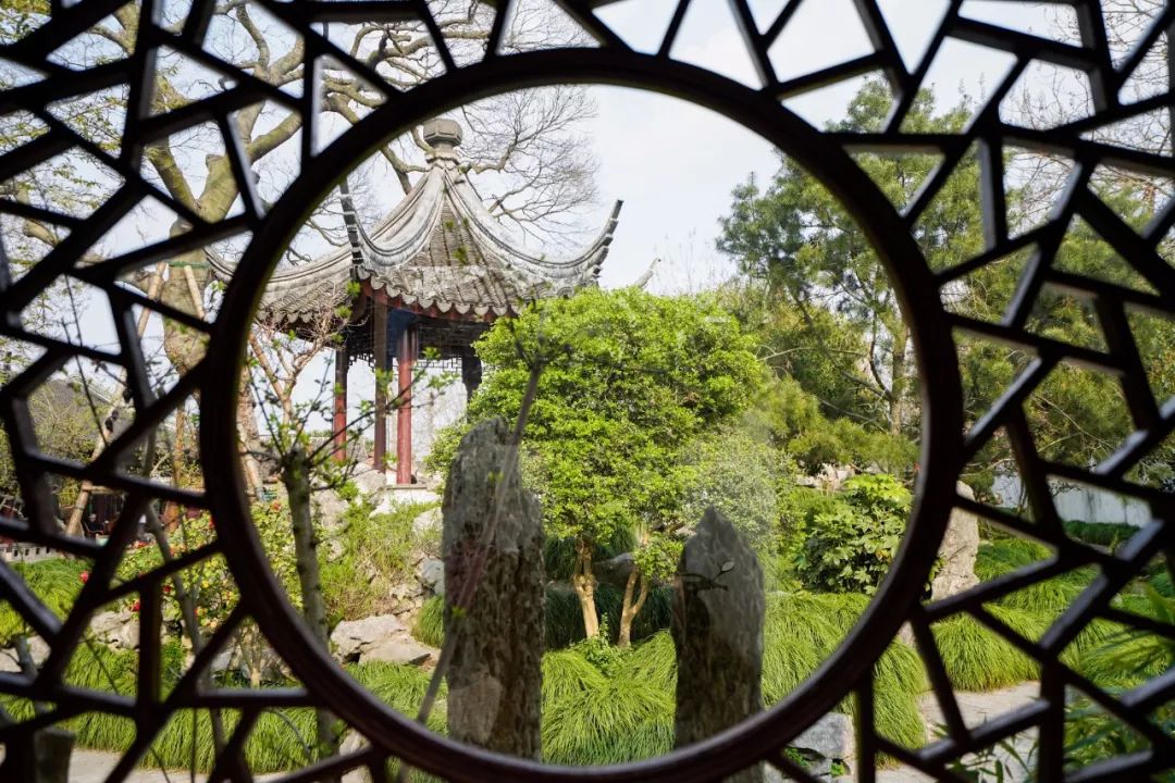 苏州的春天就藏在这些小巷里