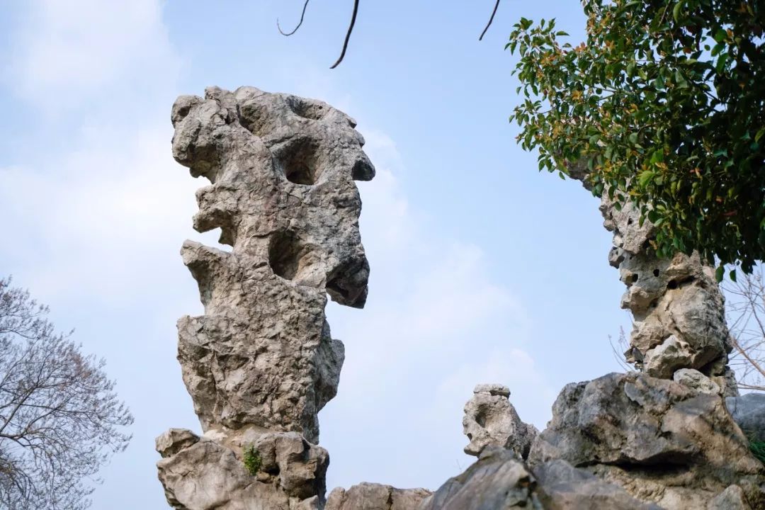 苏州的春天就藏在这些小巷里