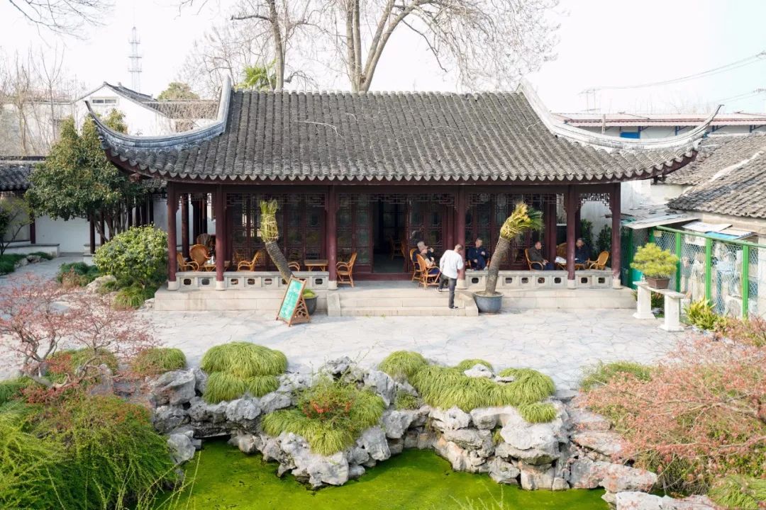 苏州的春天就藏在这些小巷里