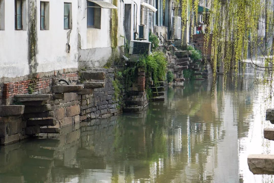 苏州的春天就藏在这些小巷里