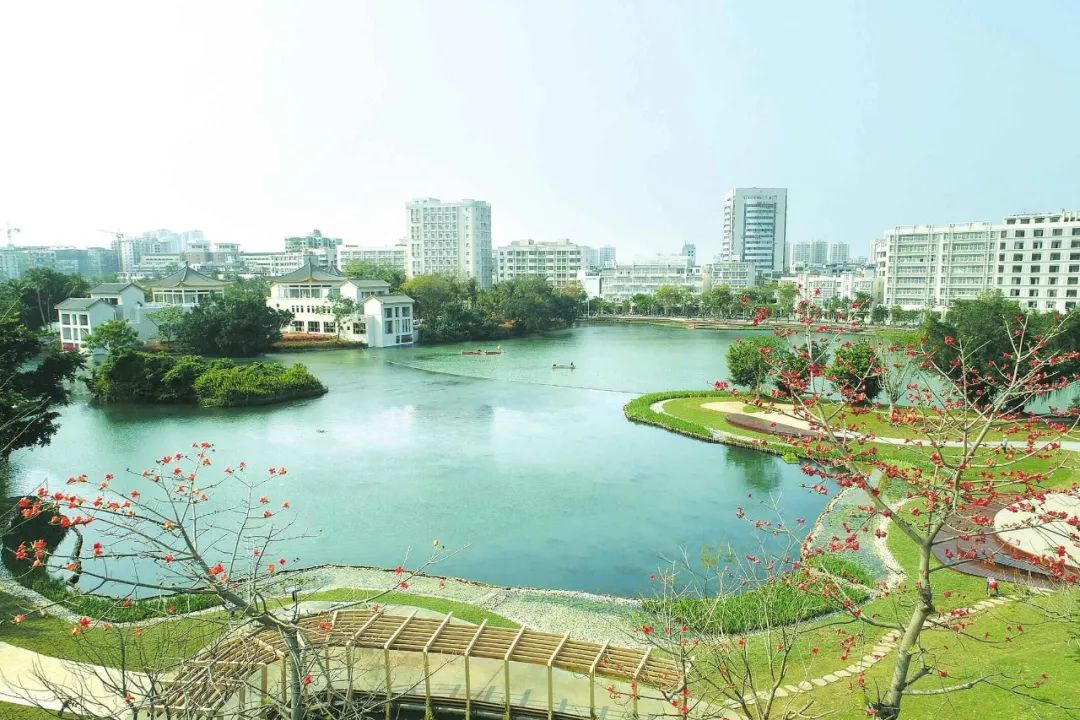 热浪来袭!海口本周气温飙至36℃!几处绿色清凉