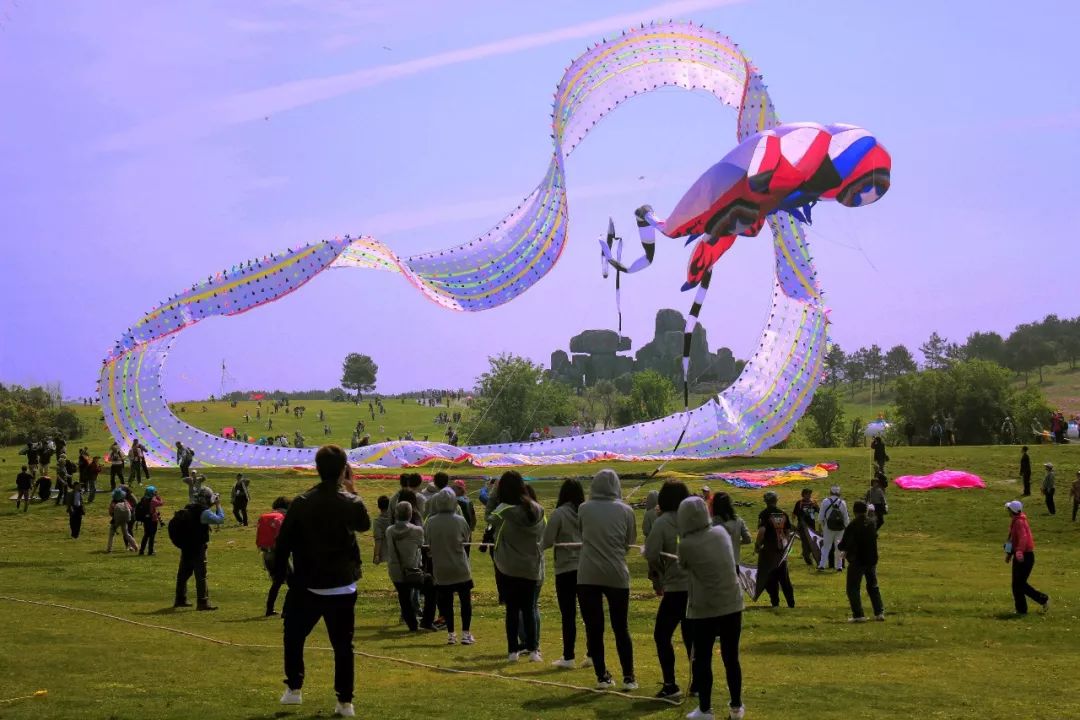 兩萬(wàn)多人都在抬頭看啥？花鳥(niǎo)魚(yú)蟲(chóng)都“飛”上了武漢的天(圖13)