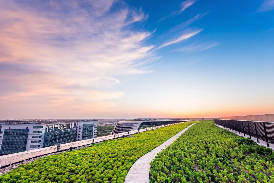 海南1988建省前gdp_2020海南gdp统计图(2)