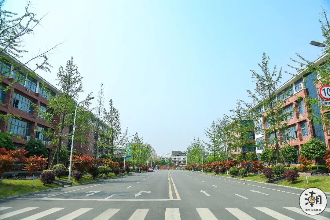 50张照片,带你重回成都纺专儿…