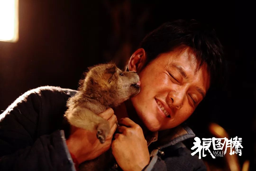 《狼图腾》剧照,让·雅克·阿诺执导,2015