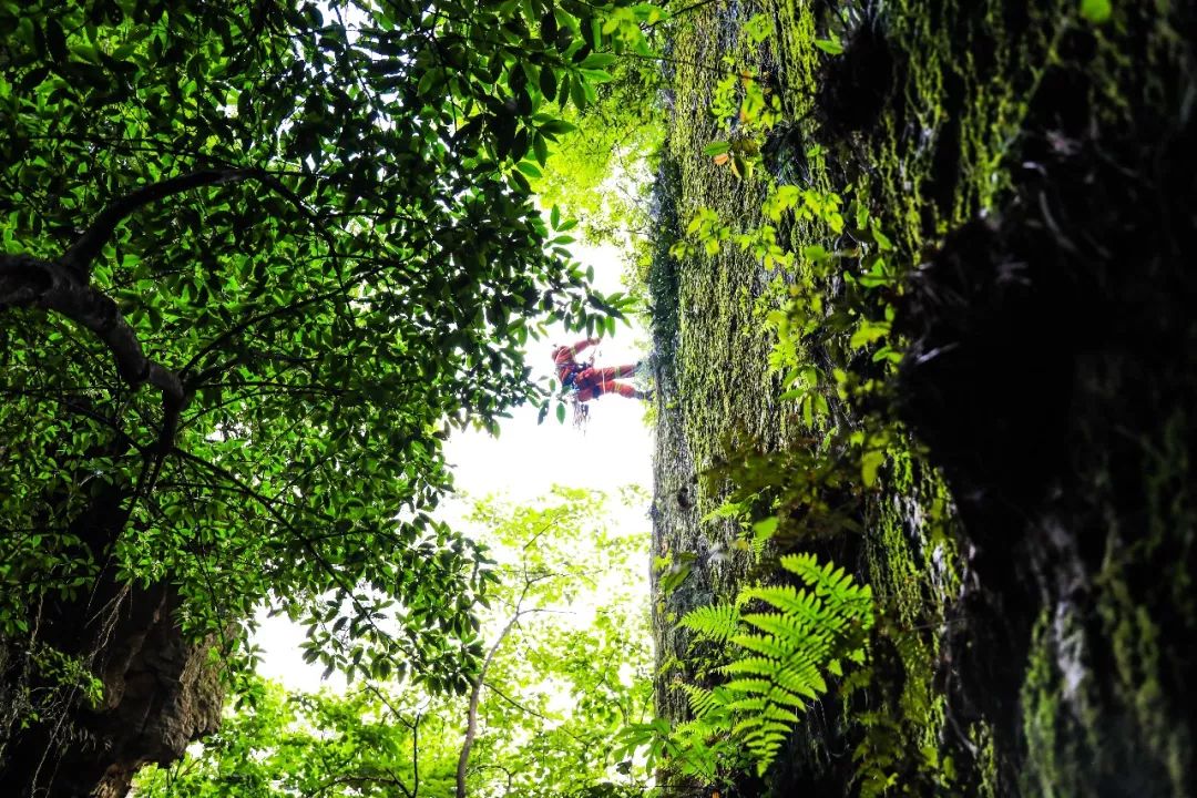 湖南消防精英论剑天子山 高空飞索横渡救援练本领
