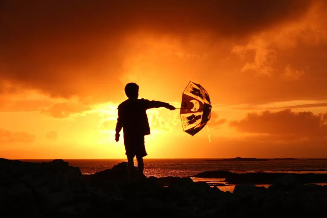 【夜读】一个有教养的家庭,大抵如此