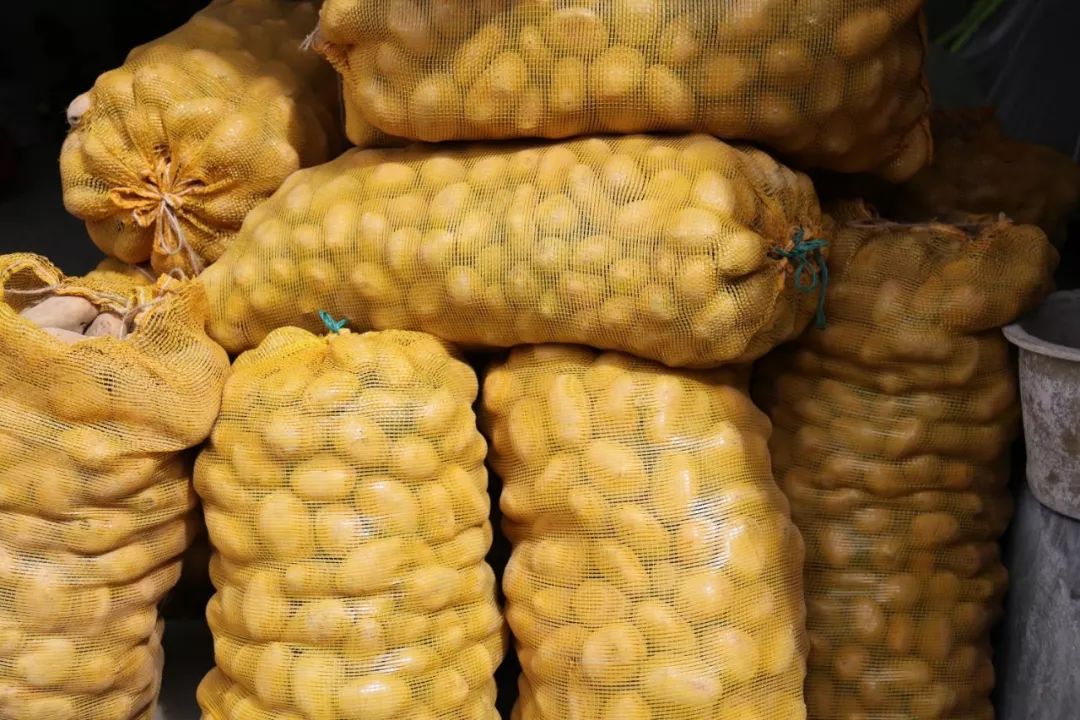 哇,凯里这个镇好多新鲜土豆,快来抢购!